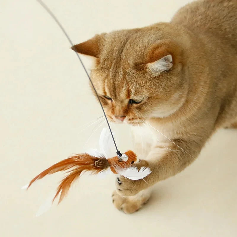 FeatherFlyer – Jouet interactif pour chat, type canne à pêche, avec plumes