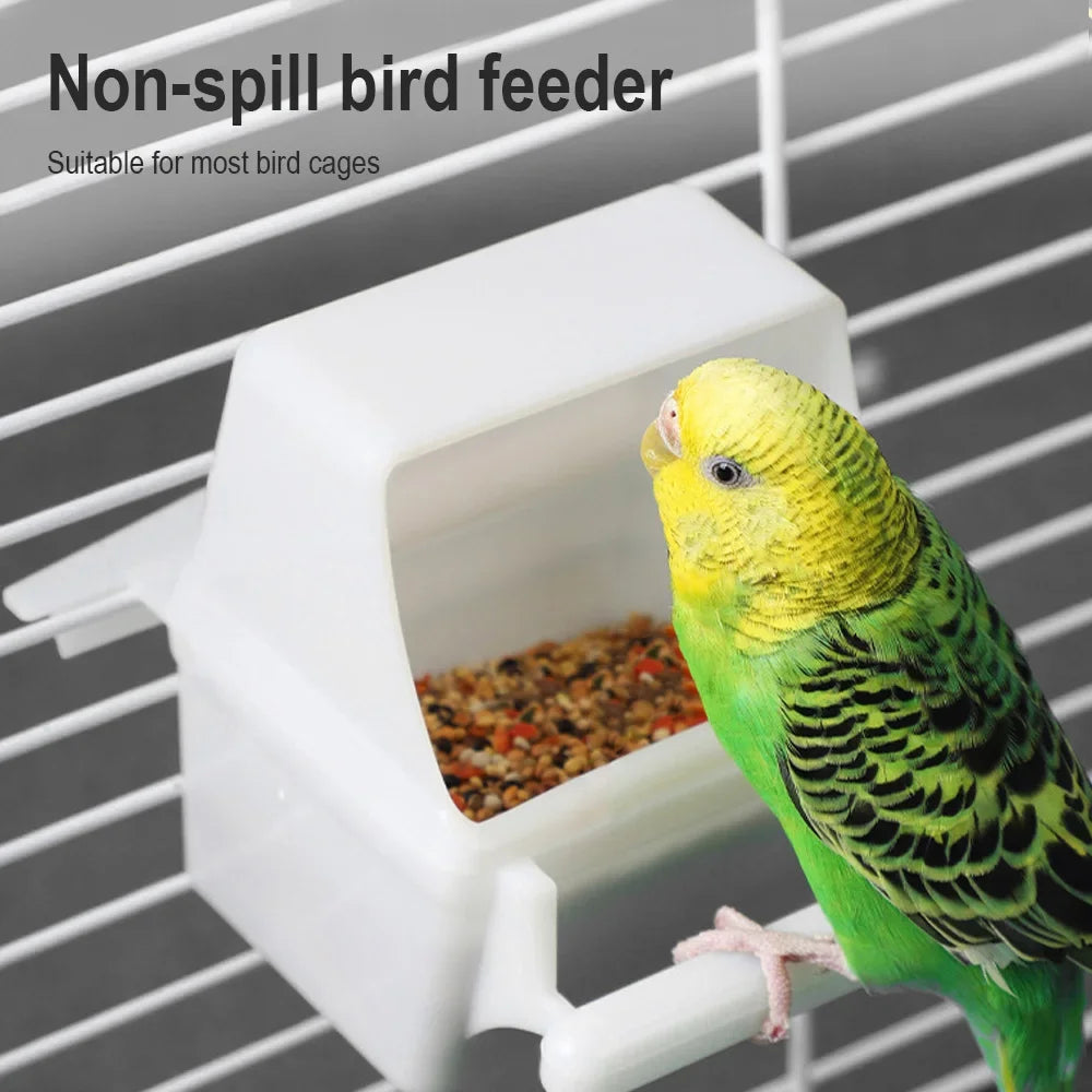 PolliFeed – Easy-Clean Bird Feeder Dish