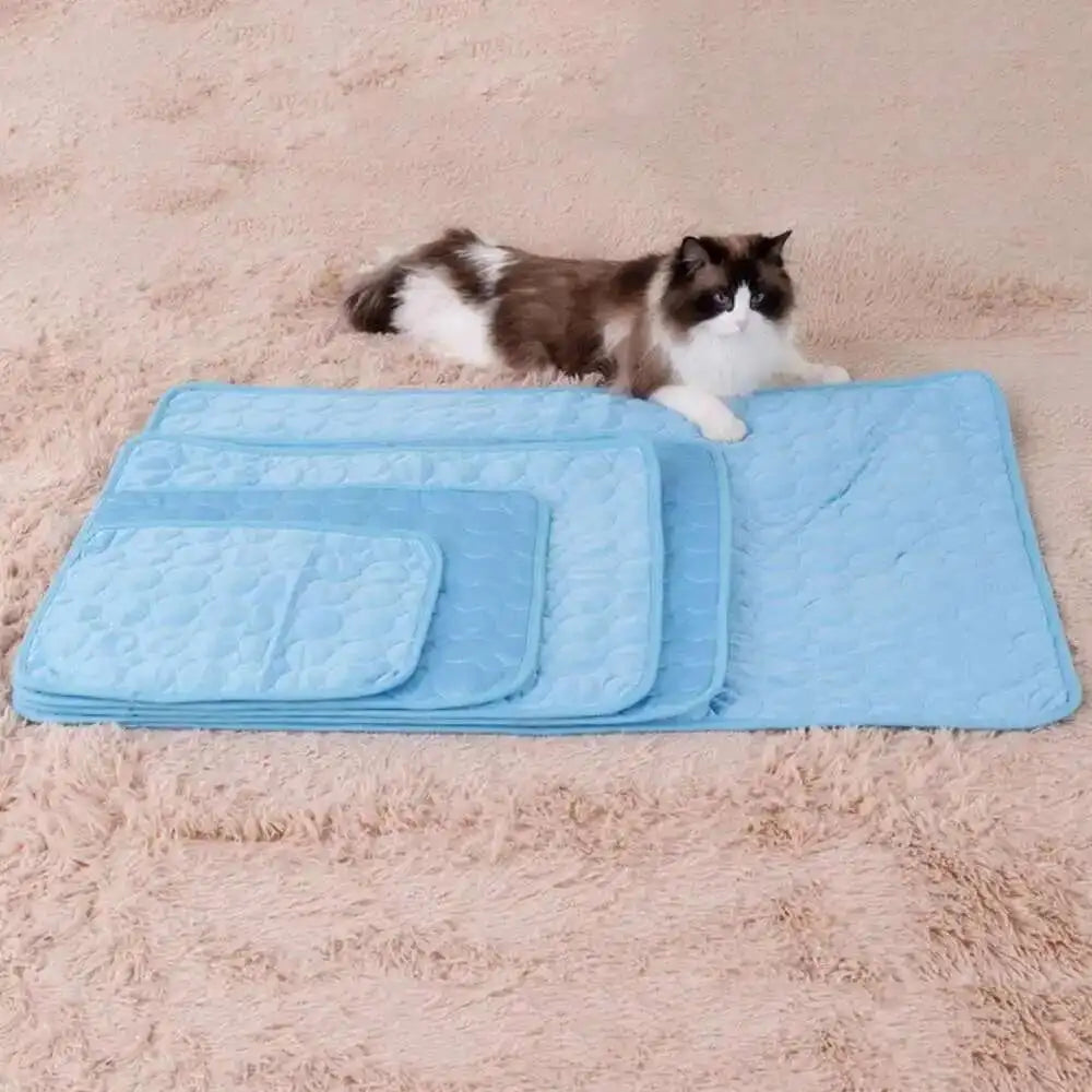 ChillPaws – Tapis rafraîchissant en soie glacée pour chats et chiens